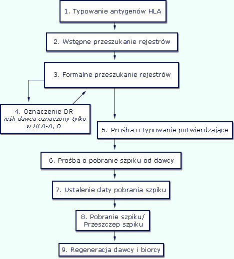 Schemat poszukiwań